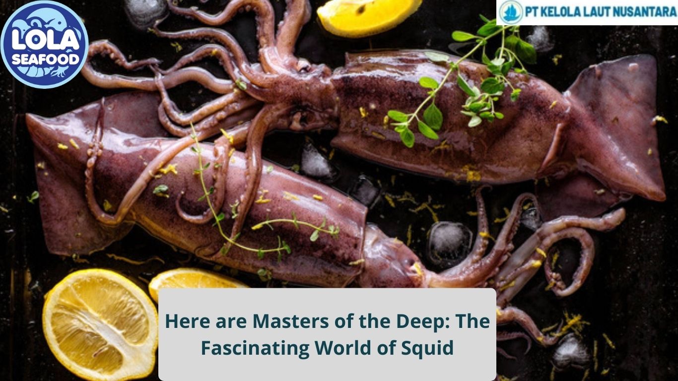 Here are Masters of the Deep: The Fascinating World of Squid